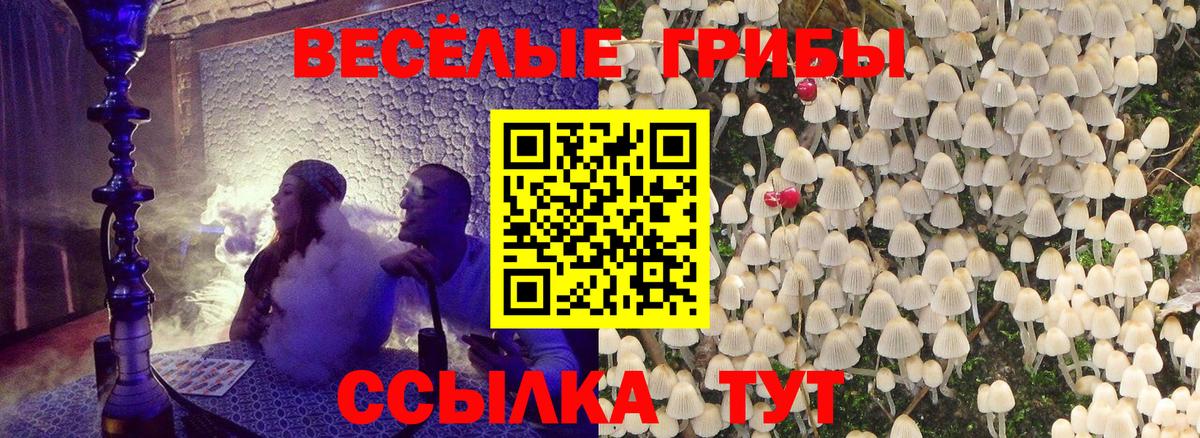 Псилоцибиновые грибы Cubensis Сыктывкар
