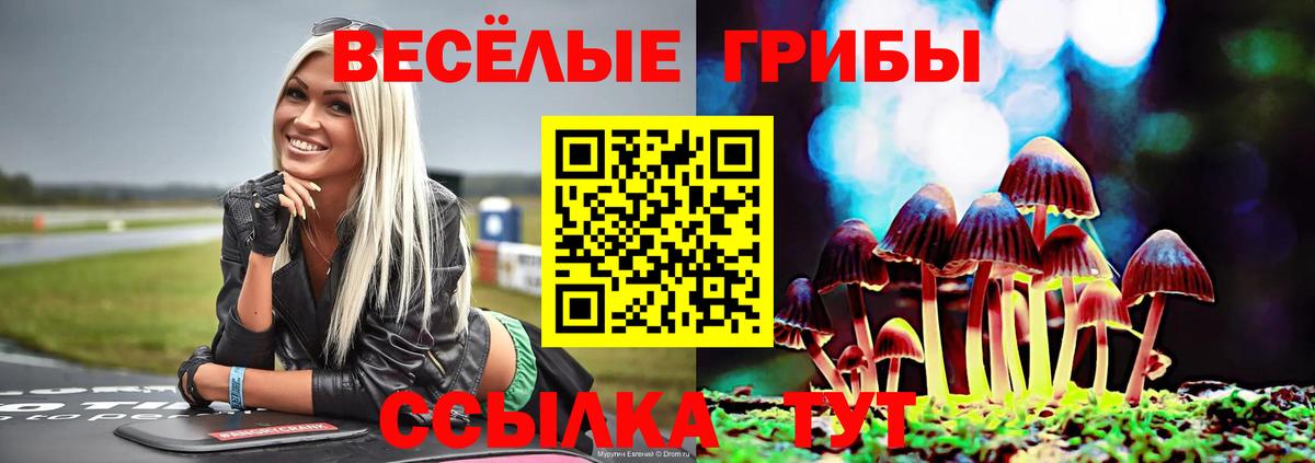 Псилоцибиновые грибы GOLDEN TEACHER  наркотики  Сыктывкар 